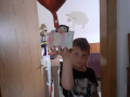 Heissluftballon-Leon-Koala-min
