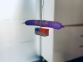 Ida-Koala-1-min