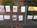 Bilder-3