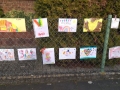Bilder-4